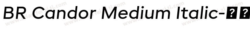 BR Candor Medium Italic字体转换